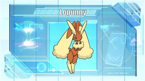 serebii lopunny|can you find a wild lopunny.